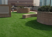 Five stages of the development of artificial grass