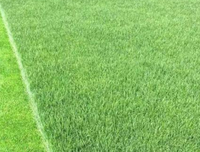 What factors affect the price of artificial turf?