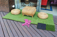 Artificial grass use age attention