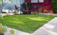 How to maintain artificial turf in winter