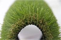 When does the artificial turf need to be replaced?