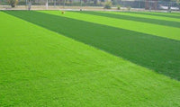 Basic maintenance of artificial turf