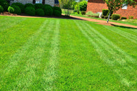The 3 Major Environmental Benefits of Artificial Grass