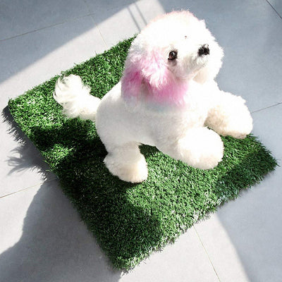 Artificial Pet Grass Mat Series PE Artificial Turf